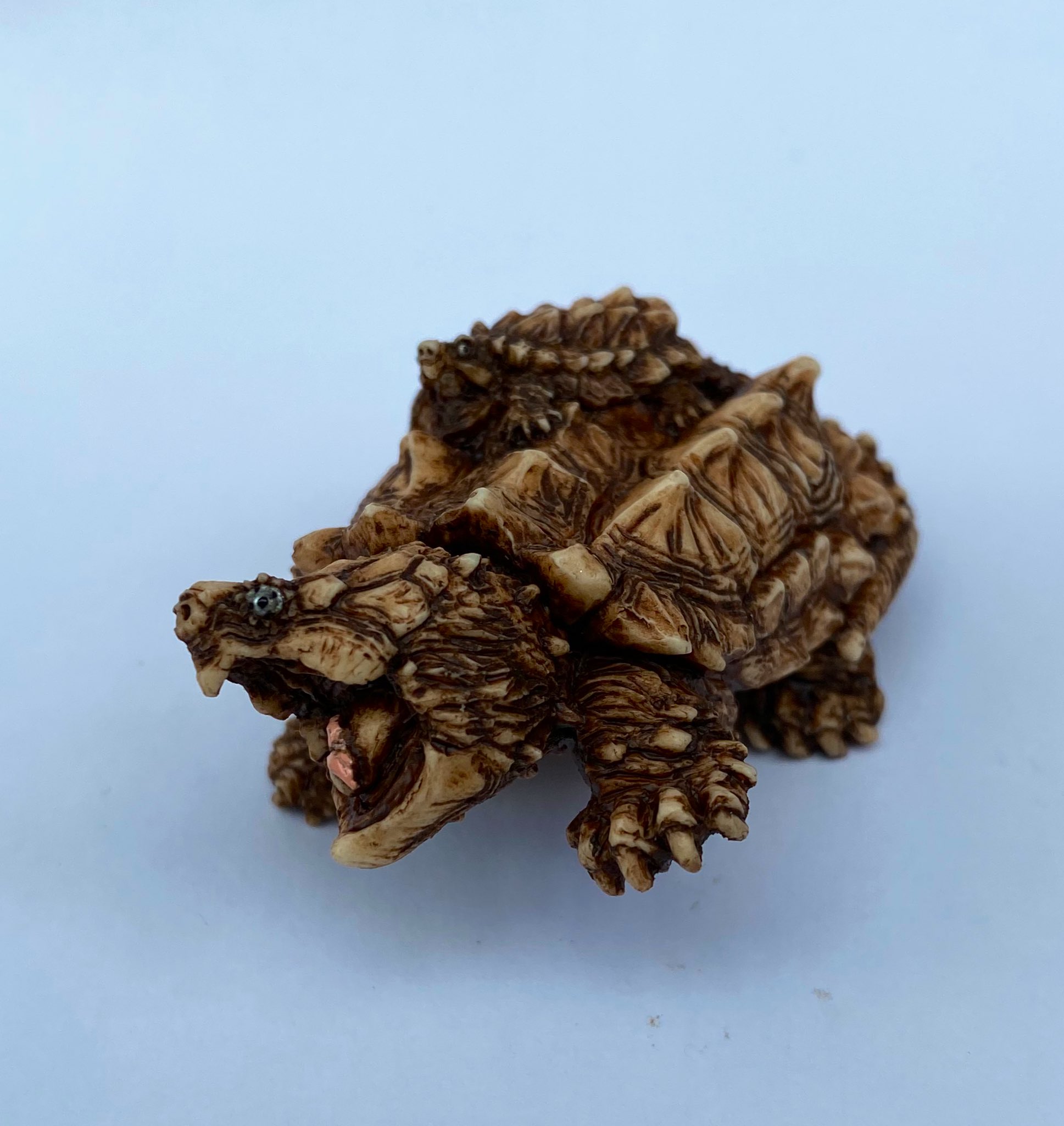 守亜ワニガメ根付