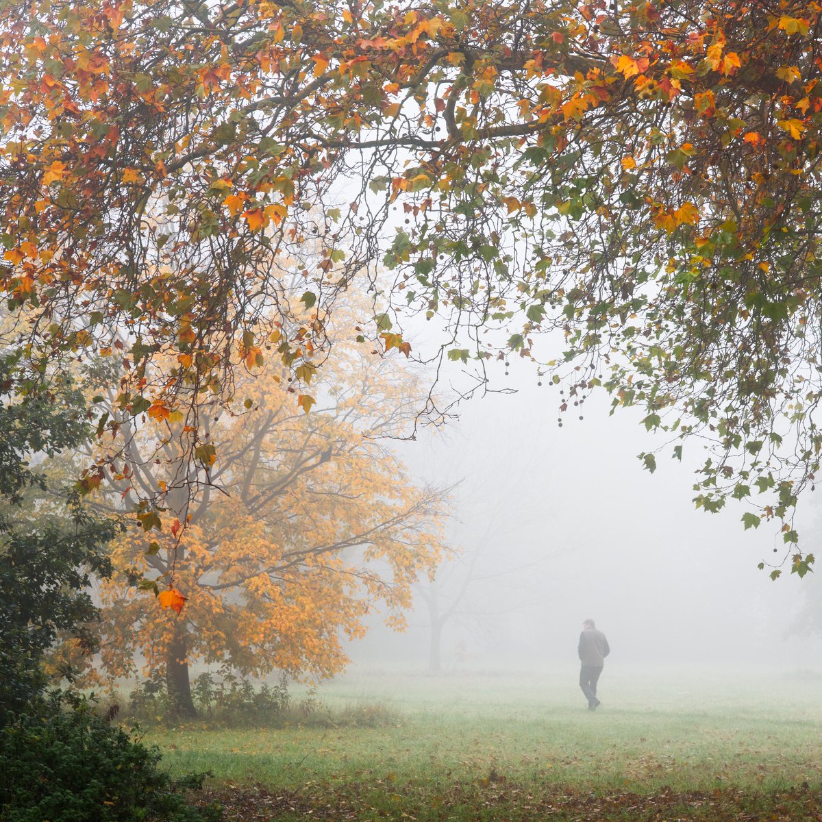 IdaHPhotos's tweet photo. Autumn is on the way again! I really want to get out there and make the most of it this year. The pandemic sapped my energy quite a bit but I feel like I’m slowly recovering my old self and the joy of creating and sharing again…
#thephotohour #nikon #autumnreturns https://t.co/PlHQLPgBaw