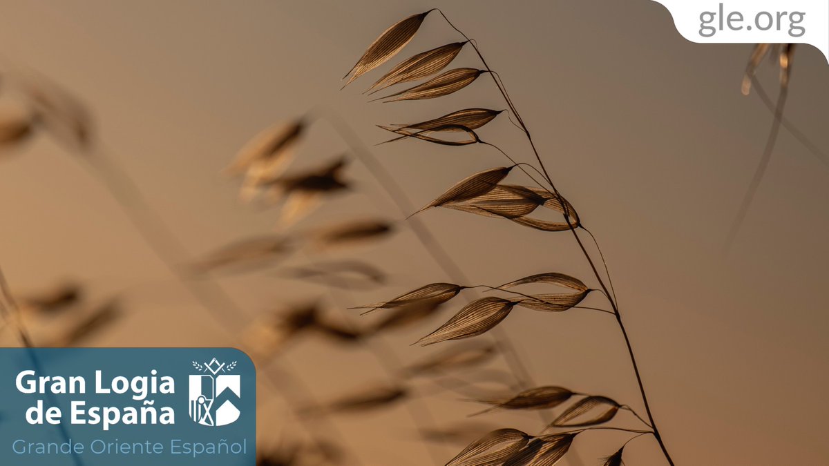 Espigas,
              granadas,
                               olivos.

Antes de la Estrella Matutina
y las lágrimas del rocío;
brota tu acacia,
     en mitad
          de la noche
               iluminada.

Espigas, granadas, olivos.

Tan solo una palabra más,
      Maestro.