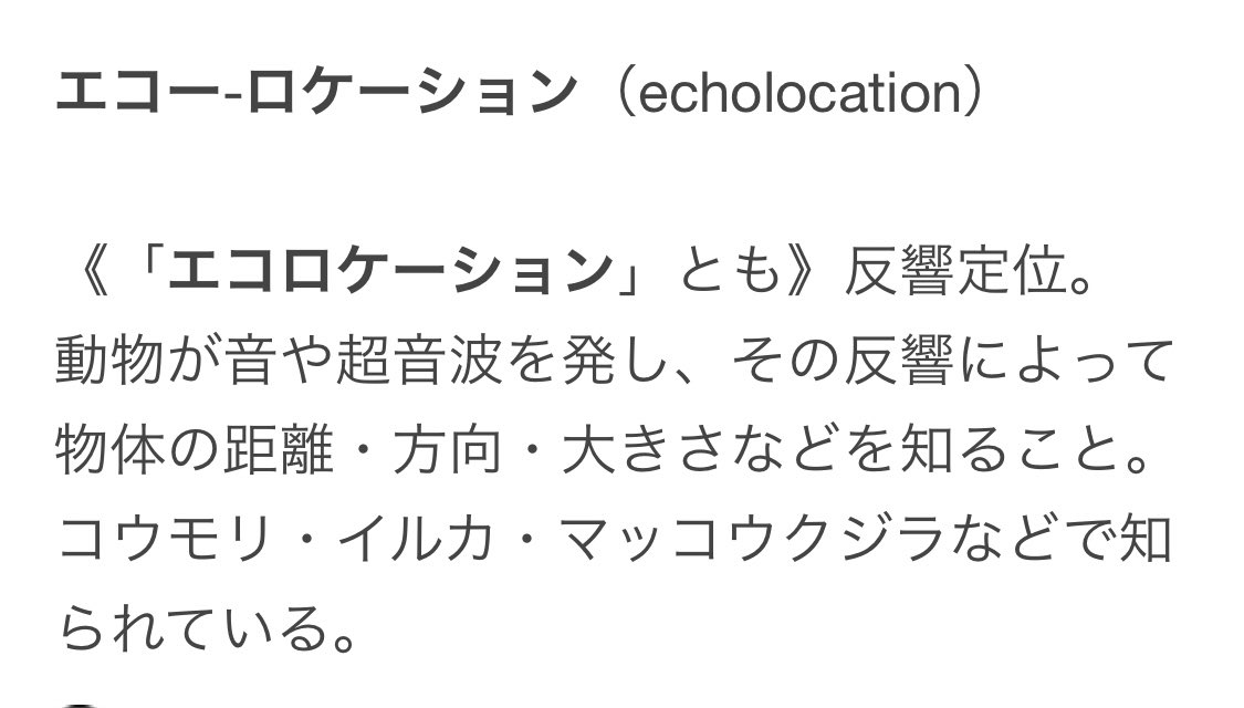 イルカちゃんず Twitter イルカちゃんず Twitter