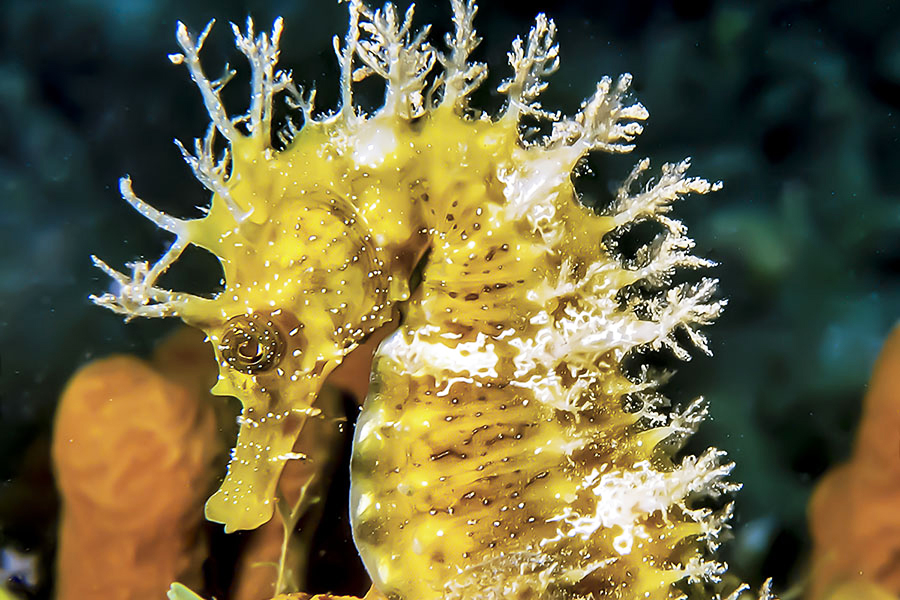 雪風 Yukikaze3 توییتر