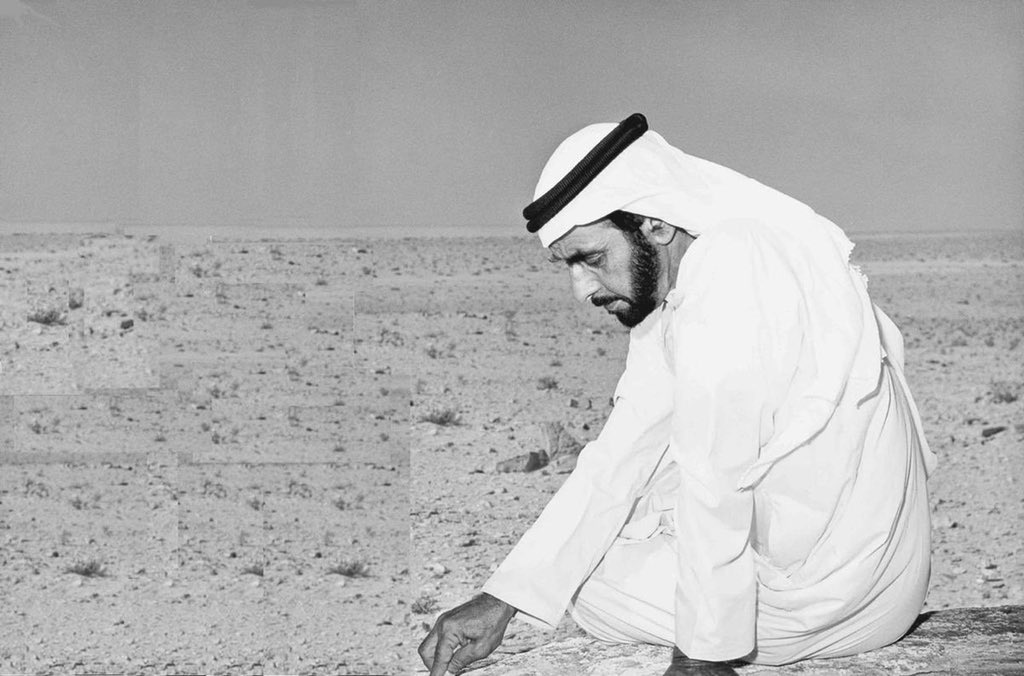 shkischillin's tweet image. من رسم أرضه بين الرمل اليوم أرضه تشيّد جنحان الدول على أراضيها❤️