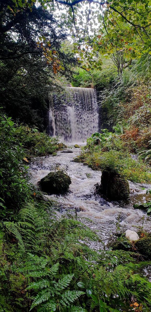 Come for a visit to our beautiful Burnside Path for a walk filled with beautiful colours and waterfalls 🌊