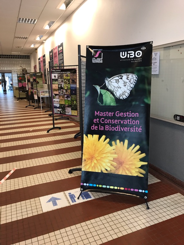 Venez admirer l'exposition sur la conservation de la biodiversité présentée dans  les couloirs de la <a href="/FacSciences_UBO/">Faculté des Sciences et Techniques - UBO</a>  par les étudiants et collègues de GCBio. Merci aux photographes! <a href="/ABroussailles/">Association_Broussailles</a> <a href="/UBO_UnivBrest/">UBO - Univ. Brest</a>