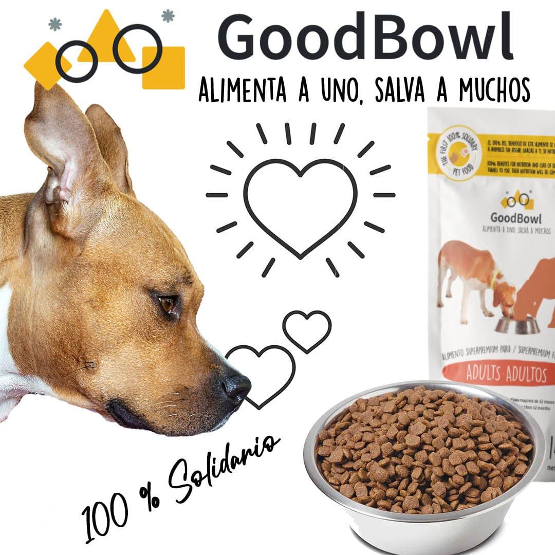 bowl_good's tweet photo. 𝗚𝗼𝗼𝗱𝗕𝗼𝘄𝗹 es el primer 🅿︎🅸︎🅴︎🅽︎🆂︎🅾︎ 💯% 🅂🄾🄻🄸🄳🄰🅁🄸🄾 𝗦𝘂𝗽𝗲𝗿𝗣𝗿𝗲𝗺𝗶𝘂𝗺.
ENAMORA❤  A TU PERRITO🐶 CREANDO👍🏻 CONCIENCIA SOLIDARIA🤝🏻

Es una iniciativa de @fundacionbm
#AlimentaUnoSalvaMuchos #perritosfelices #PerritosSolidarios #AdoptaNoCompres https://t.co/v0YWpXdG5f