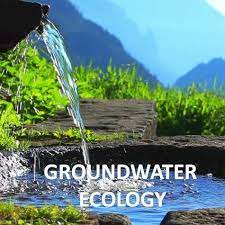 Groundwater provides about half the global supply of drinking water and is used to grow the majority of the world's irrigated crops. In many areas, discharge from groundwater replenishes streams and rivers,global water cycle, helping sustain aquatic ecosystems.