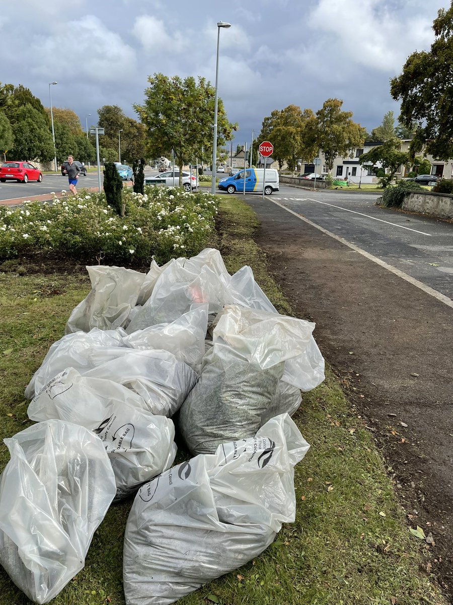 BallybodenTT's tweet photo. Kudos to @SchoolRockbrook they came in miserable weather, worked so hard, weeding, edging, brushing and scraping - they were simply brilliant 🤩 thx to their fab teachers . Super effort #gratitude This school rocks 🙏👍@glendoherpark @sdublincoco @KnocklyonNet @SavetheHellfire https://t.co/lgRUH1eykE