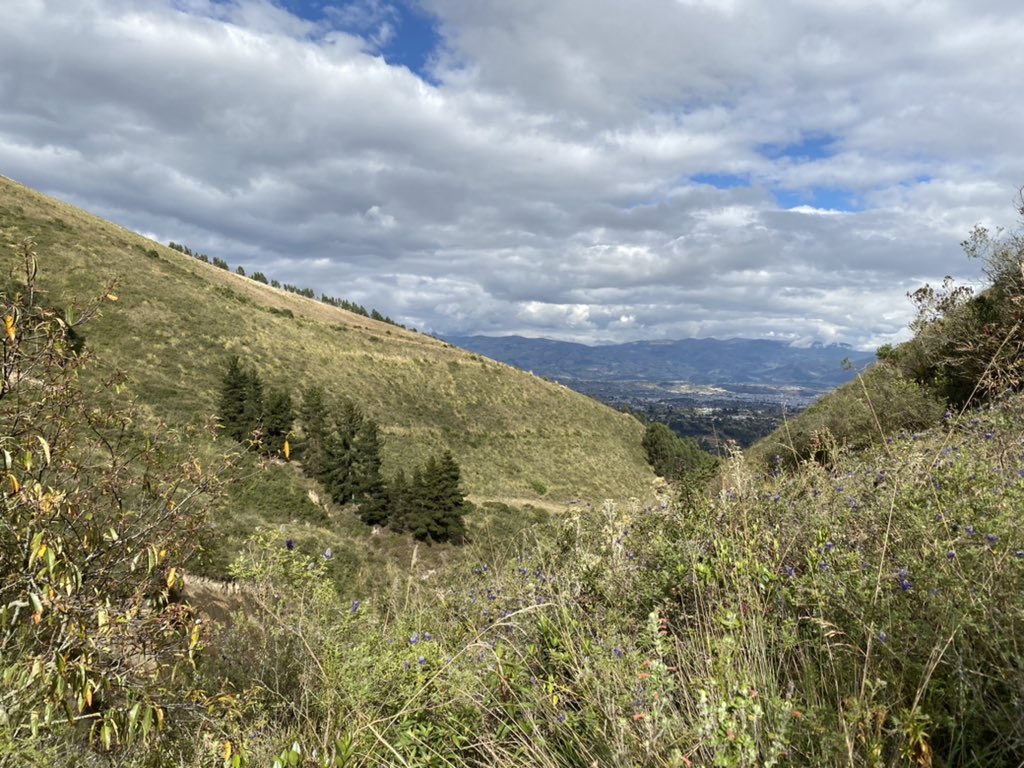 FAOEcuador's tweet photo. Junto a @Ambiente_Ec y @AgriculturaEc realizamos un recorrido a las parroquias La Victoria y Toacazo en Cotopaxi para reafirmar las acciones priorizadas en conservación 🌳y producción sostenible en los #PaisajesAndinosEc🌱 https://t.co/bKpyC5hWSM