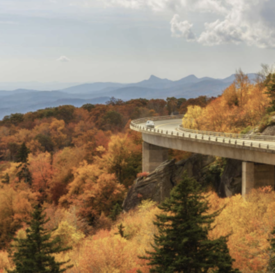 ttpcpas's tweet image. The trees are changing color, the air is getting colder and the crisp smell of leaves is in the air. Autumn is here! And we’ve got a list of some of the best and most brilliant places to take a memorable leaf-peeping tour this fall. bit.ly/3nXwq0M