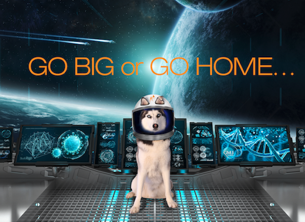 Glo Janata tweet media