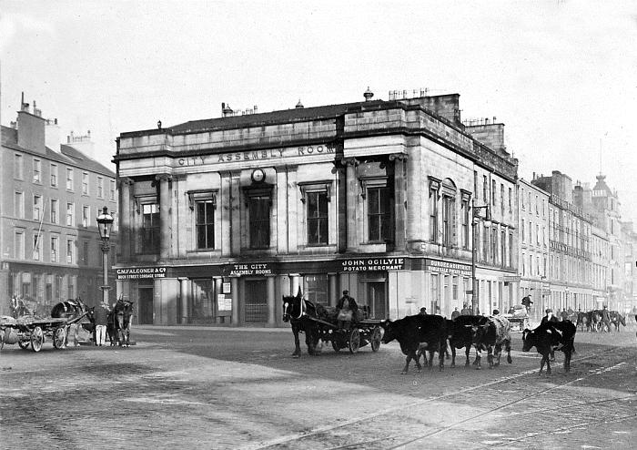 Not much to see here. Just some cows heading down Dock Street.

Ref: TC/EN/CHA/40, c.1920

#FarmAnimalsDay #Dundee #archives