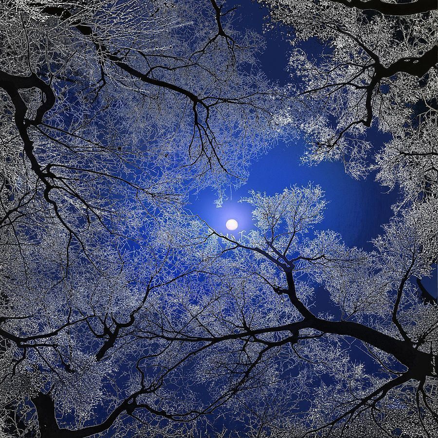 noveliciouss's tweet photo. Everything can nourish the writer. The dictionary, a new word, a voyage, an encounter...a book, a phrase learned.
ANAÏS NIN
#amwriting #book https://t.co/McGFyFvmWi