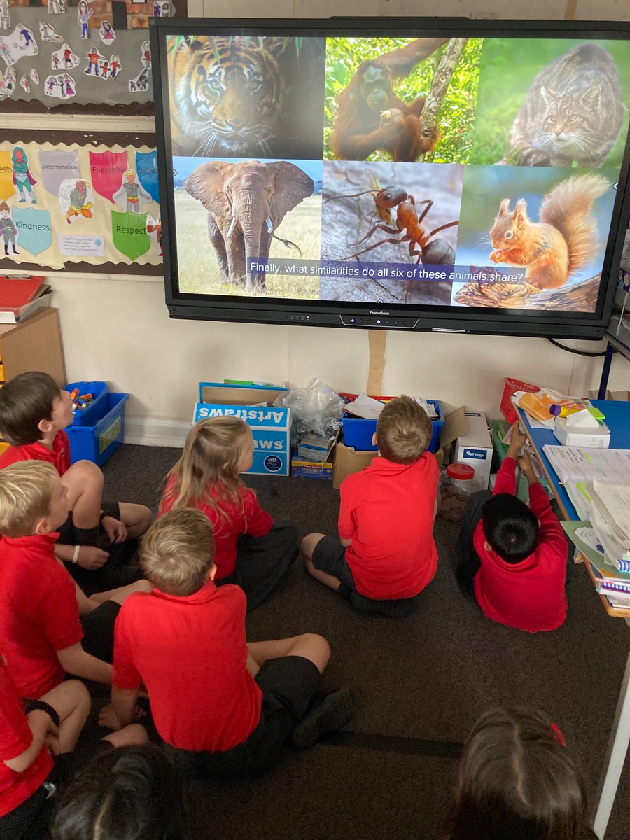 giffnockprimary's tweet photo. P4a - A fantastic #GSCAthome Our World Our Impact: Animals with Jobs. Discovering similarities between endangered exotic and native Scottish animals. Linking in brilliantly with our #MathsWeekScot #GPSMathsweek project. https://t.co/fq6ozb40AX