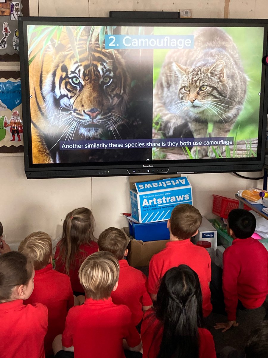 giffnockprimary's tweet photo. P4a - A fantastic #GSCAthome Our World Our Impact: Animals with Jobs. Discovering similarities between endangered exotic and native Scottish animals. Linking in brilliantly with our #MathsWeekScot #GPSMathsweek project. https://t.co/fq6ozb40AX