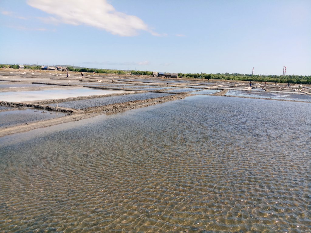 Hasriandi Fishery tweet media