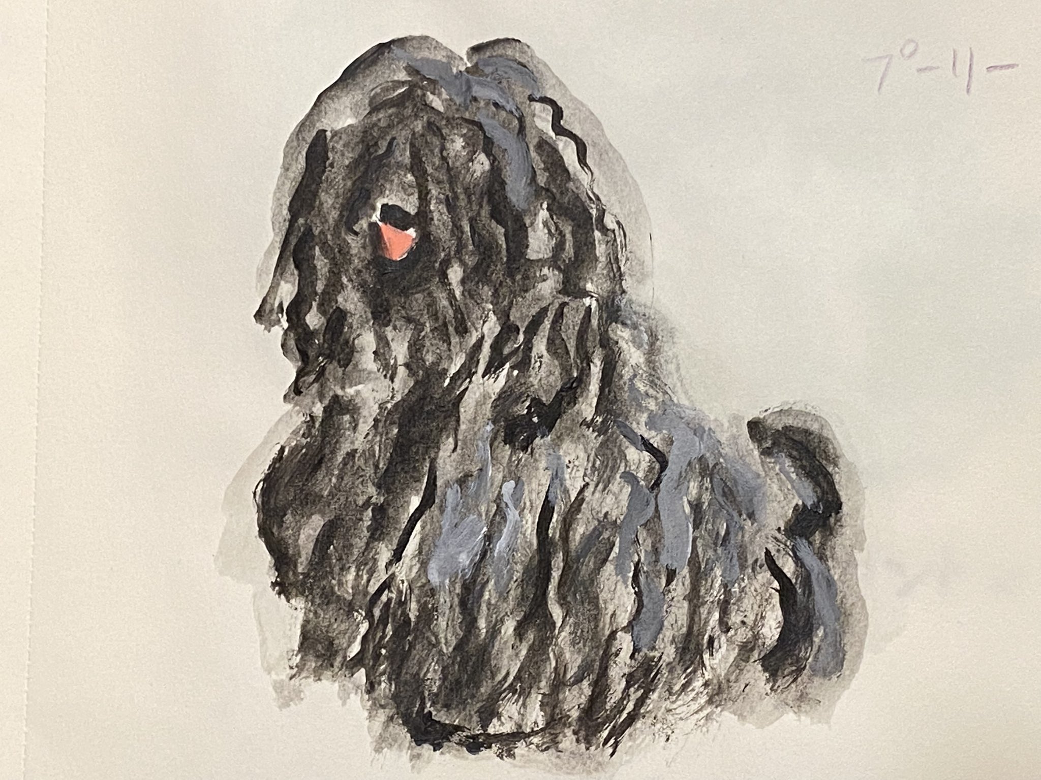 カラリ陽子 珍しい犬種 プーリー モップのような姿 Illustration Illustrator イラスト イラストレーター Dog 犬イラスト プーリー Animalillustration Acrylicpainting Sketch T Co Zstf7elz0i Twitter