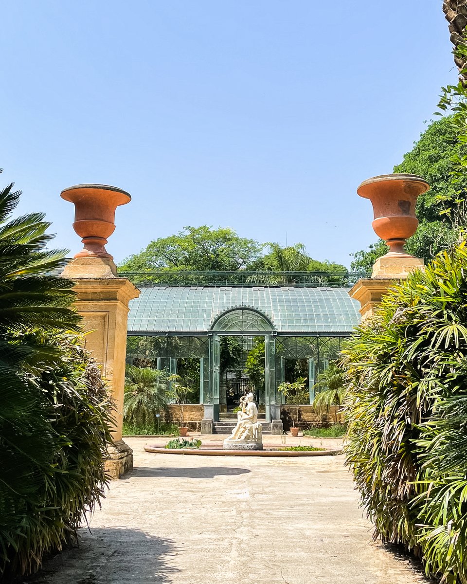 Venture through thousands of species of living plants in the Orto Botanico di Palermo, an "open-air museum" where the study of botany first developed.

#RoccoForteHotels #RoccoForte  
#Sicily #VillaIgiea