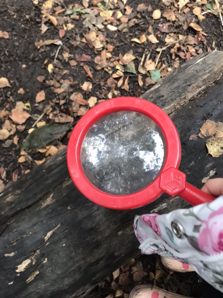 Mrs Lamb tweet media