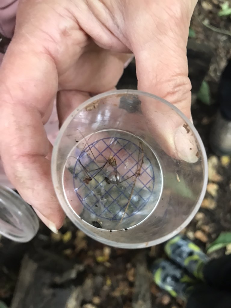 Mrs Lamb tweet media