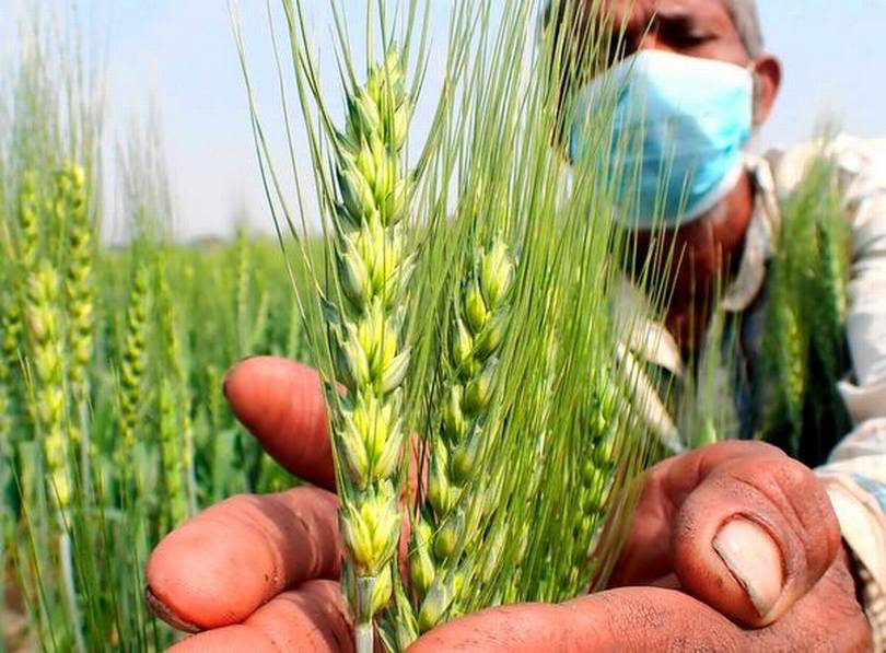 frontline_india's tweet photo. ARCHIVES | The argument that the Indian farmer is overburdened by “negative support” has become contentious in the context of the recent #FarmLaws. In reality, this does not hold up to scrutiny.

By @sachinaug13, @paavni &amp; @RaihanAkhter (Mar 26, 2021).

https://t.co/rLIQpvVXjv https://t.co/4RtZ3qRoWp