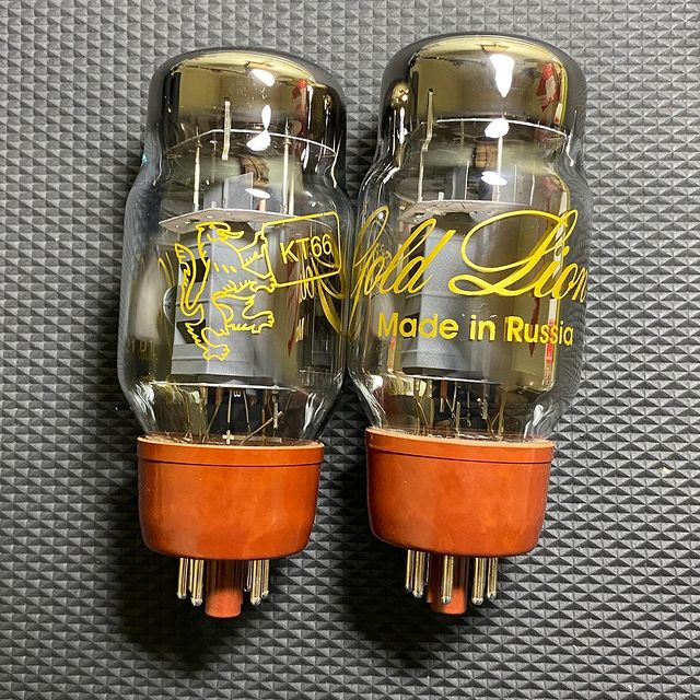 EHX's tweet image. Make your amp roar with a fresh set of Genalex Gold Lion tubes. These faithful reissue KT66 tubes are a staple of the early Brit-tones that brought godly guitar tone to the table.

📷 @animaguitara

#ehx #electroharmonix #genalex #goldlion #KT66 #vacuumtube #powertube