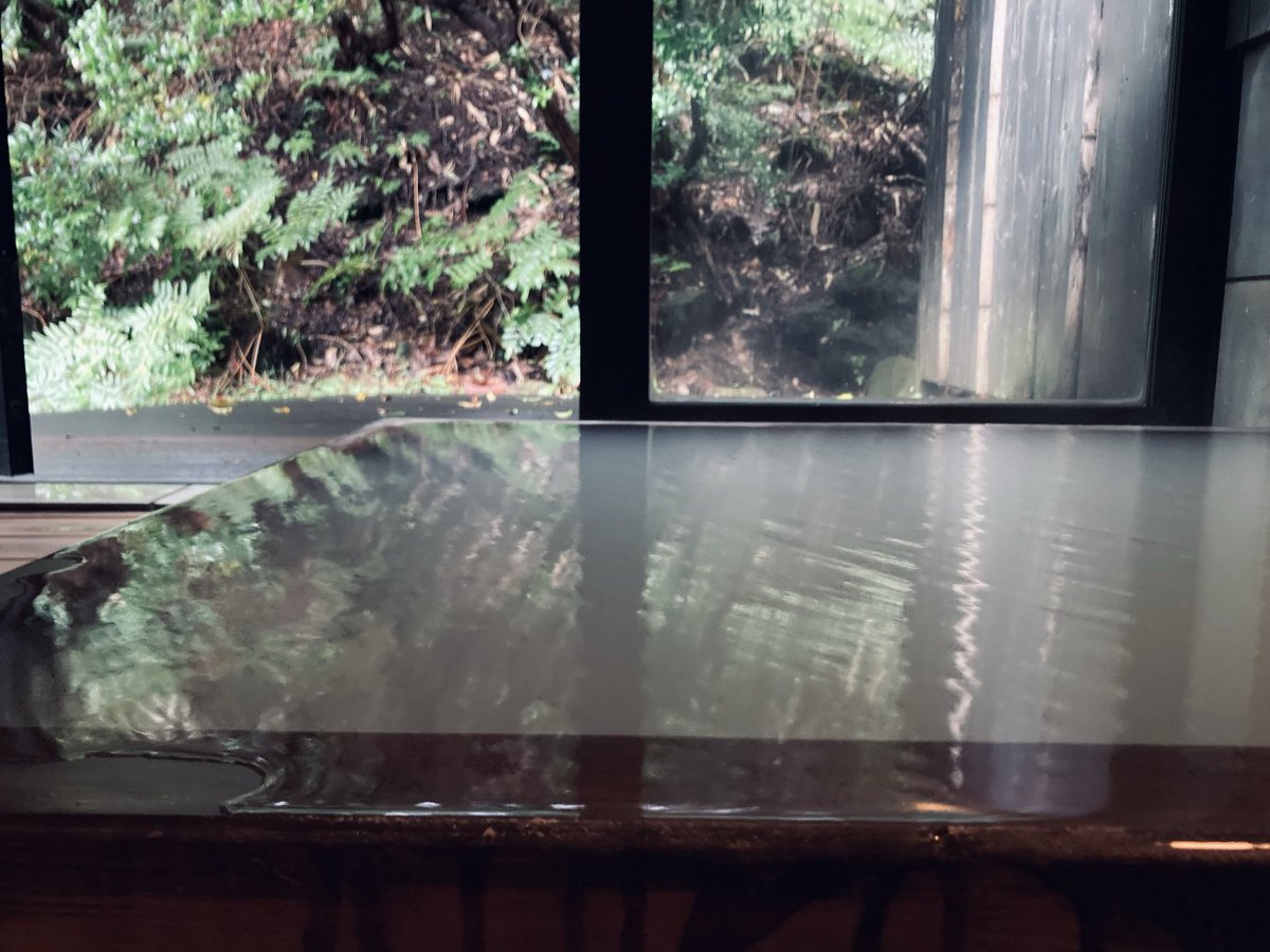 coumax's tweet photo. フェーズとフェーズの間のエアポケットを使って箱根へ🏔
ポーラ美術館のレストランで甘いココナッツカレーを食べて、ロニ ホーン展とモネ展をウロウロ。モネの色彩は本当に美しくて淡いグラデが目から脳へと刻々染み渡る。つげ義春の漫画に出てきそうな温泉宿に一泊。硫黄泉の内風呂に永遠引き籠り🧖‍♀️ https://t.co/r6KX8lI3zN