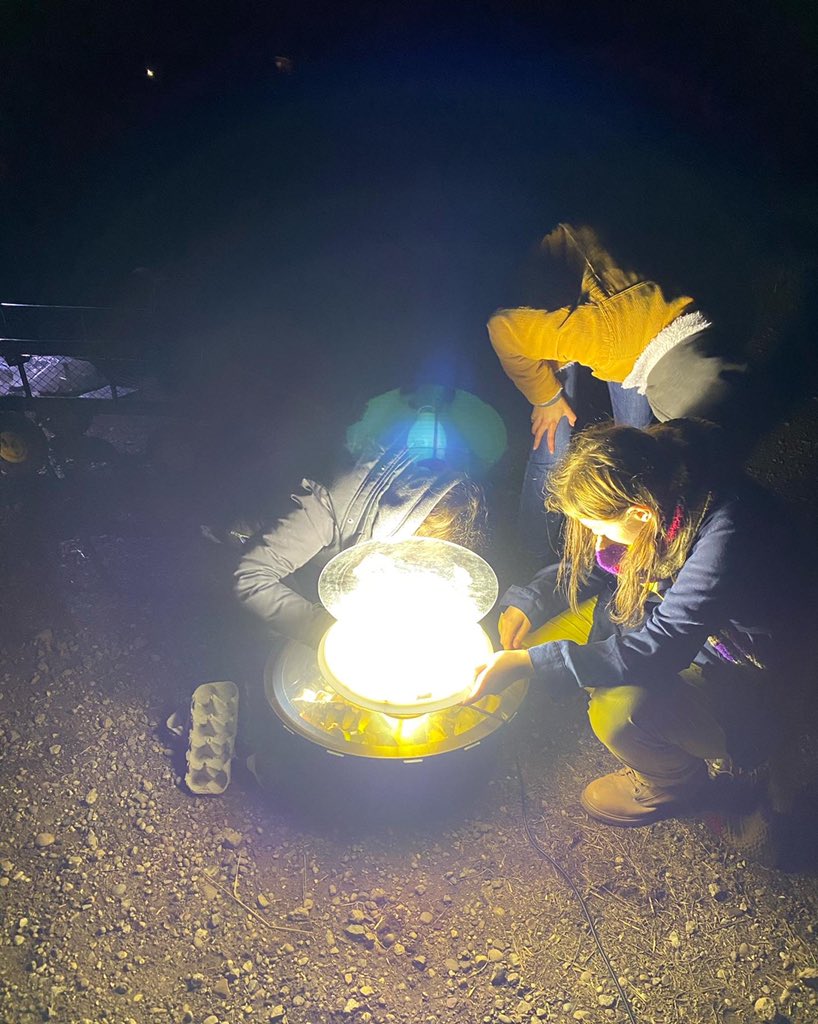 NTSUConSoc's tweet photo. Thanks to everyone who came to our Moth Trapping event last night!
We had a great time trapping and identifying different species, and of course releasing them at the end.
#conservation #consoc #moths
@brackstudents @Trentstudents @TrentUni https://t.co/zLk6Hwtzf8