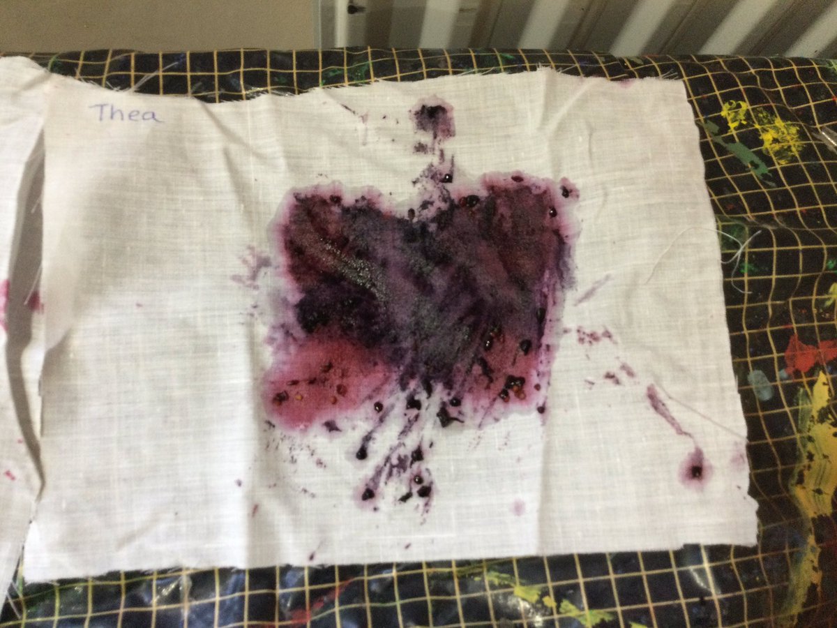 SouthWellfield's tweet photo. The children in Reception have been enjoying a different Autumn experience today.  We have used small hammers, fine cotton and Autumn berries, leaves and flowers to make art using the Hapa Zome technique.  Great, noisy fun and beautiful artwork! https://t.co/jMMneRjsPk