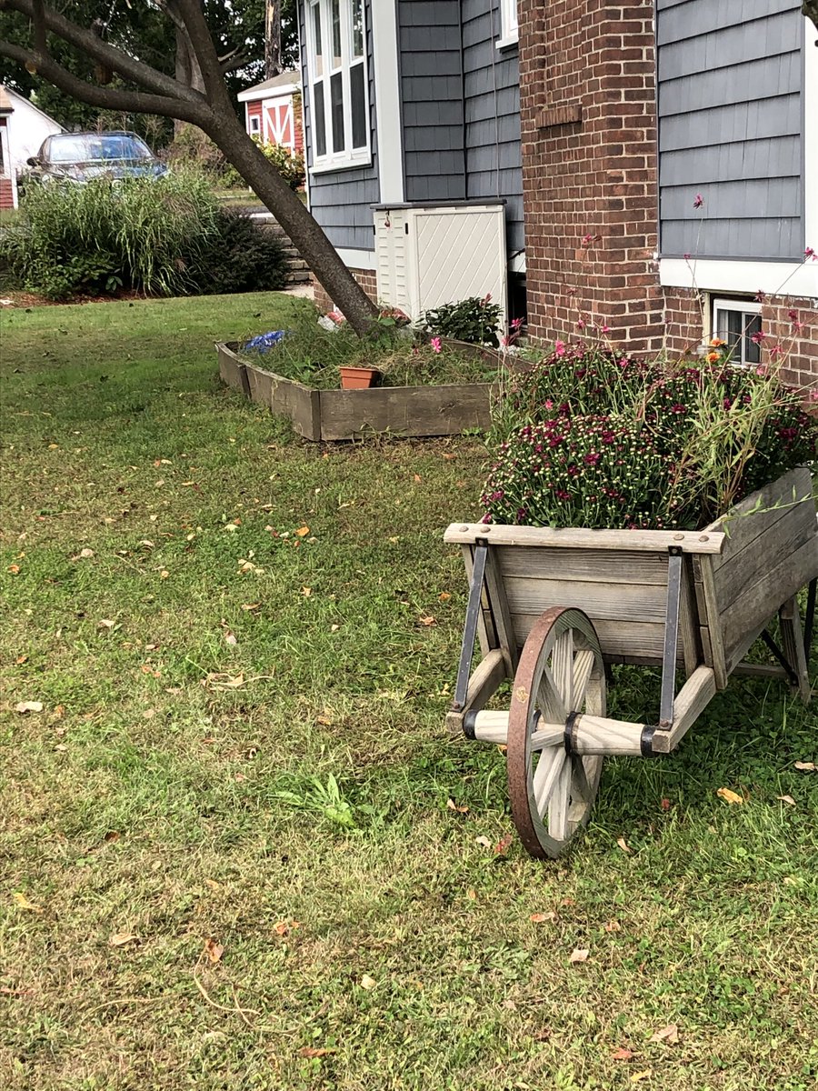 gmtdeary's tweet photo. #dearystrong don’t you just love my “new” wheel barrow https://t.co/b5bDE2g85v
