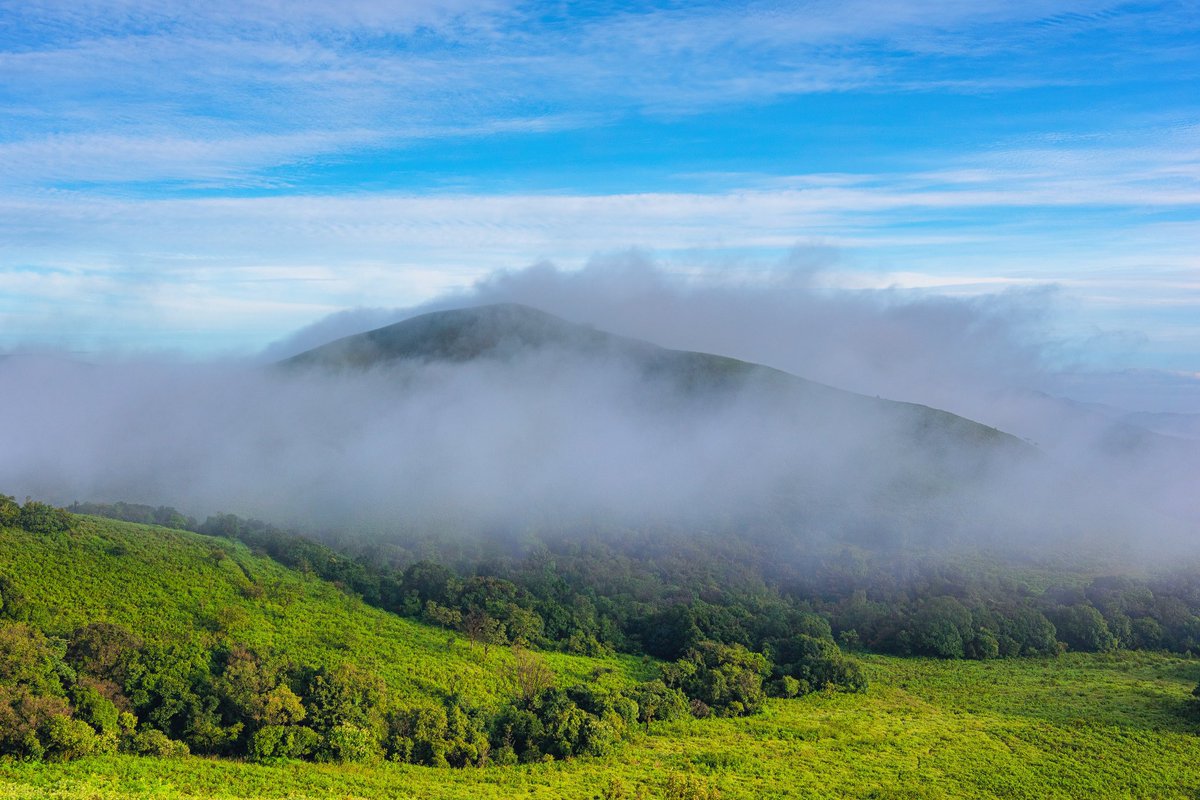 briskjourney's tweet photo. Life become more meaningful when you realise the simple fact that you’ll never get the same moment twice. #NaturePhotography #naturelovers #nature #travelphotography #travel #photography #photographylovers #photographer #karnatakatourism #nikonphotography #IntoTheWild #landscape https://t.co/ETxpLXbXqW
