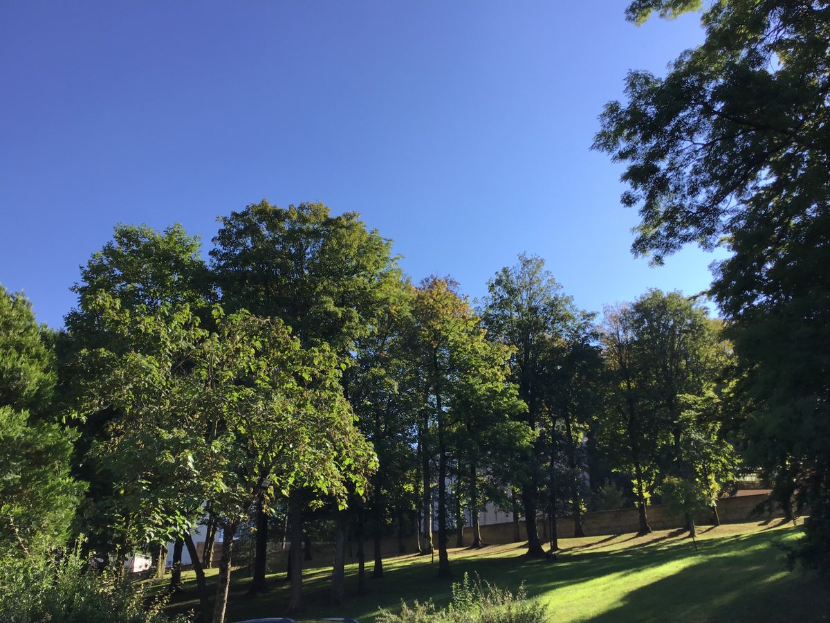 Nous sommes allés au parc de l'Hôtel de ville. Il y a des arbres dans le parc et dans ce parc il y a la mairie et juste à côté, il y a l’école.