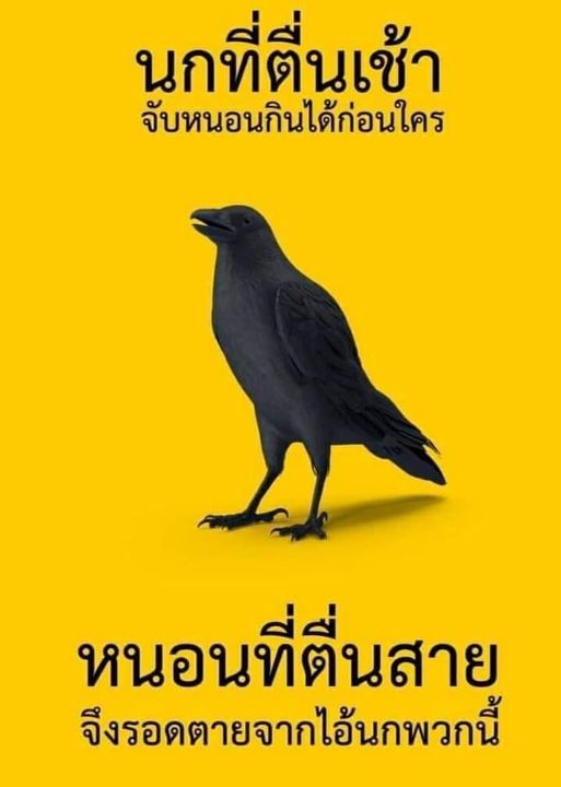 ไลฟ์โค้ชที่แท้ทรู 555555555555555555555