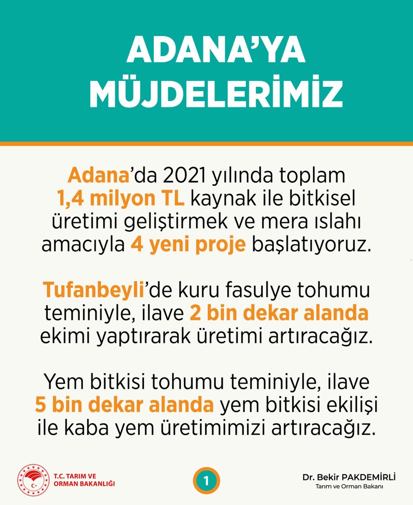 Resim