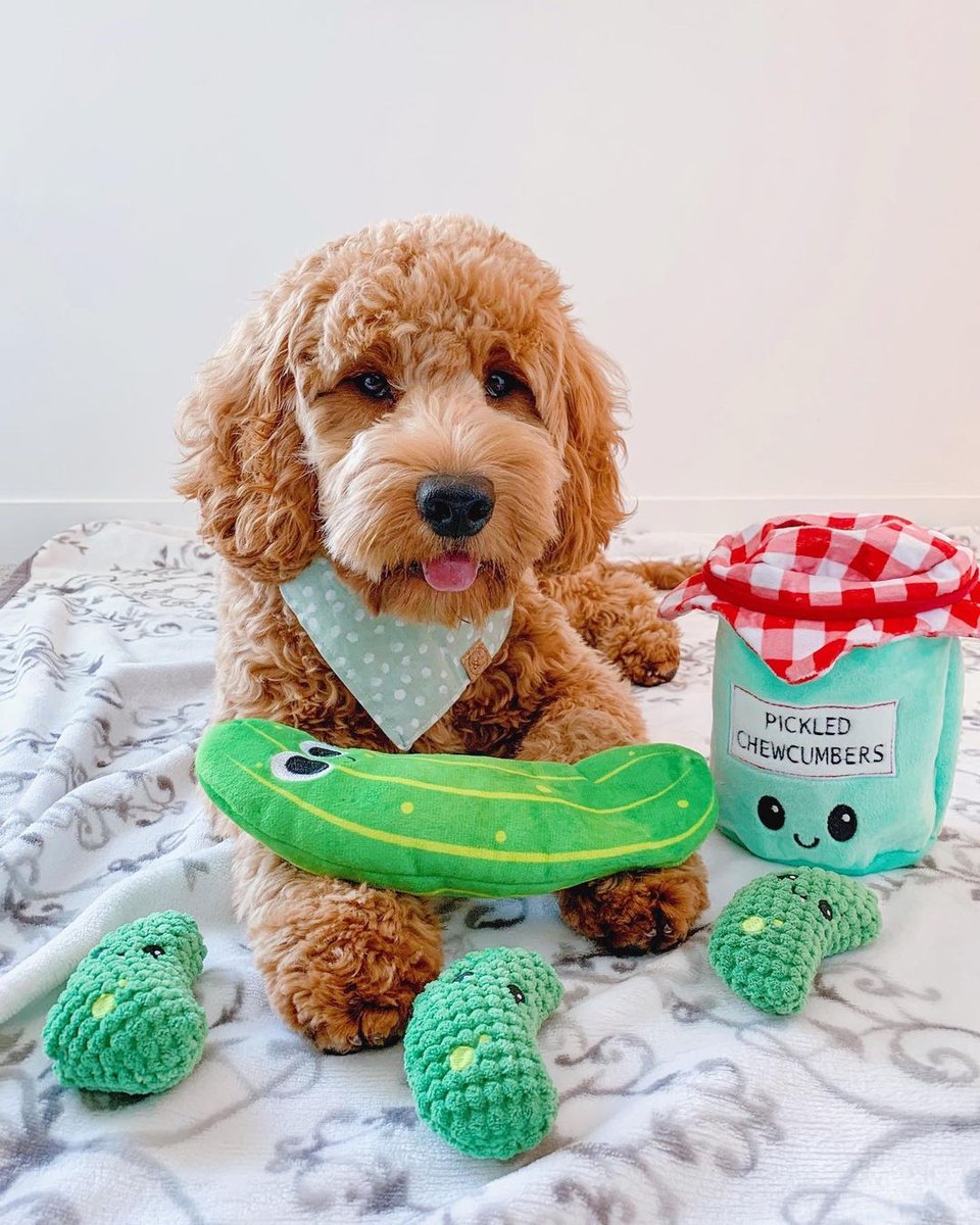 Pet Craft Supply Co. tweet media