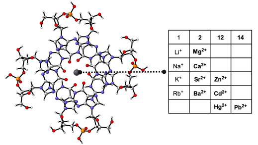Insights into how #pollution metals can cause #genomicinstability upon binding to #GuanineQuadruplex #DNA (by <a href="/ultimoboulevard/">Francesco Zaccaria</a> Stephanie vd Lubbe <a href="/CelineNieuwland/">Celine Nieuwland</a> <a href="/TrevorAHamlin/">Trevor A. Hamlin</a> <a href="/CeliaFGuerra/">Célia Fonseca Guerra</a> at <a href="/VU_TheoCheM/">The TheoCheM Group (Inactive)</a> <a href="/VUAmsterdam/">Vrije Universiteit Amsterdam (inactief)</a>) #VeryImportantPaper #OpenAccess onlinelibrary.wiley.com/doi/10.1002/cp…
