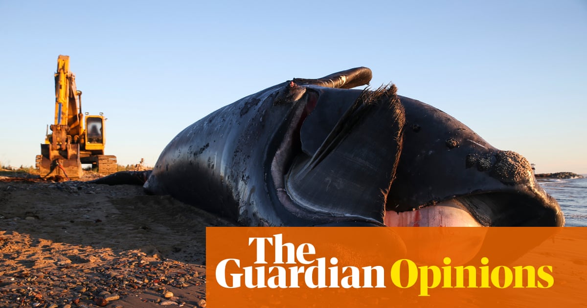 ‘Green growth’ doesn’t exist – less of everything is the only way to avert catastrophe | George Monbiot buff.ly/39OGEZc #climate #Biodiversity #consumption #capitalism