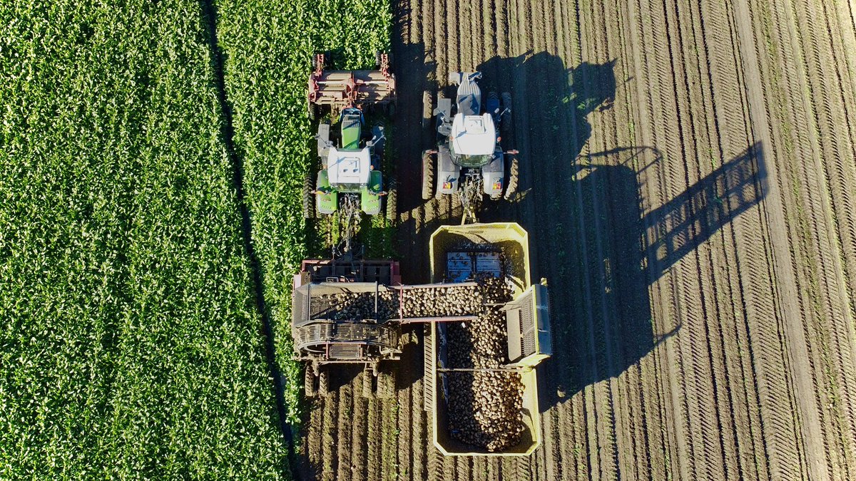 Will Müller tweet media