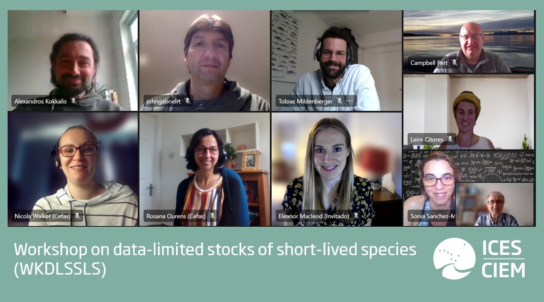 ICESmarine's tweet photo. Our workshop #3 on data-limited stocks of short-lived species took place this month. Experts are further developing methods for stock assessment &amp; catch advice for these stocks, and providing guidelines for estimation of MSY proxy reference points.
➡️ https://t.co/BSqDKbMyvB https://t.co/tRPfczkdOx