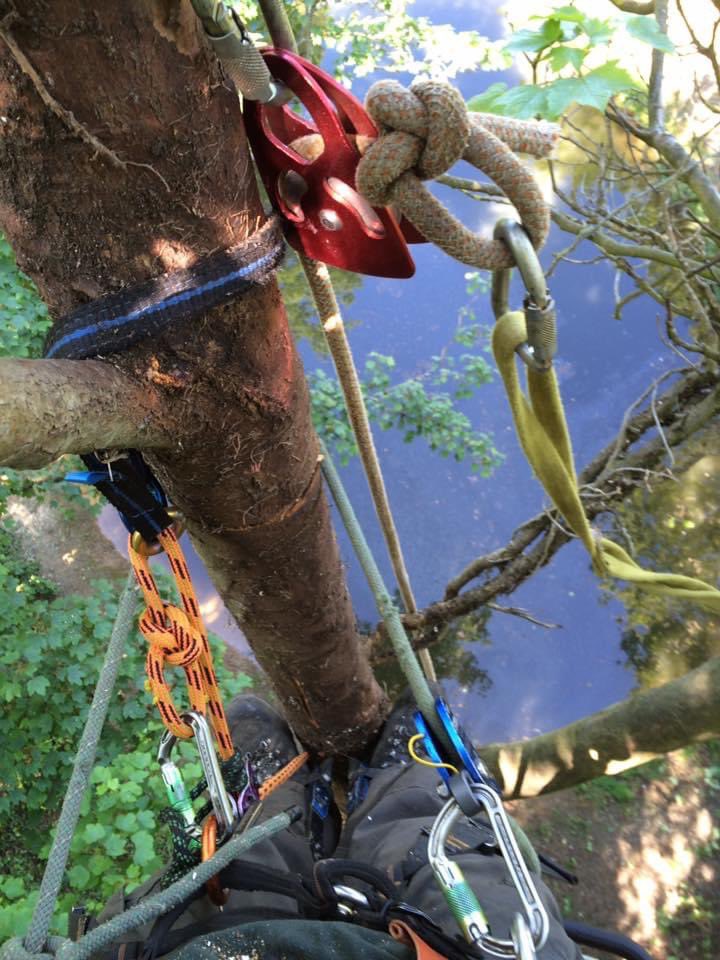 First tweet ever!! #twittwoo