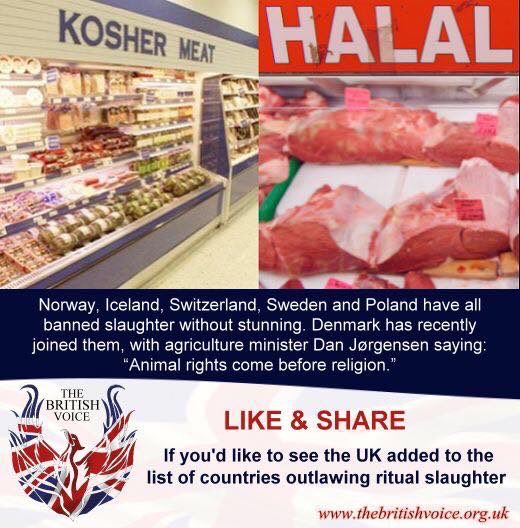 rodgew1's tweet image. We do NOT need any halal (non-stun) products in this country. They should be banned immediately.