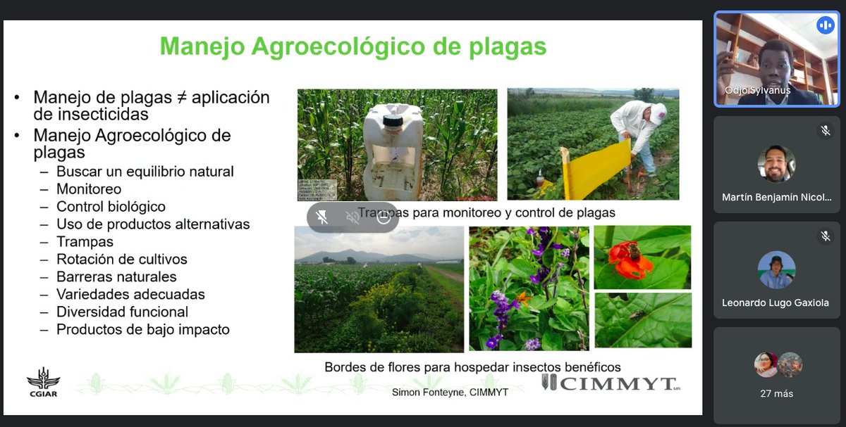 BCEjidos's tweet photo. En Baja California celebramos el Día Nacional del Maíz, promoviendo el conocimiento de su historia, la valoración de su importancia en la cultura y soberanía alimentaria del país y dando impulso a nuevas cadenas productivas y de valor en la región. #UPBC #UTT #UABC #ITT #CBTA146 https://t.co/bcFX4MDrki