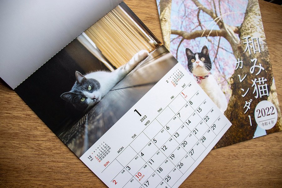 ふかおてるみ 今日のマルコ マルコの写真が来年のカレンダーに使われたことを知り 一昨日実家近くのダイソーでやっと見つけました 和み猫カレンダー22年 マルコは１月でした 100円shop ダイソー にて販売中です 猫 ねこ Cat ハチワレ猫