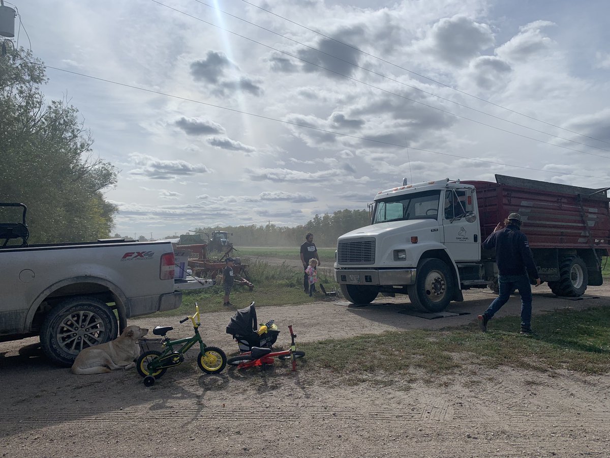 MarcHutletSeeds's tweet photo. A few generations participated in this #YieldHero weigh for silage corn! Thank you Signer Dairy and family for the trial. 
This NEW 82-day dual purpose is a winner. 
🤩🐄
#YieldHero21 #silagecorn #mbdairy
@PioneerSeedsCA https://t.co/uEIJQqgQDr