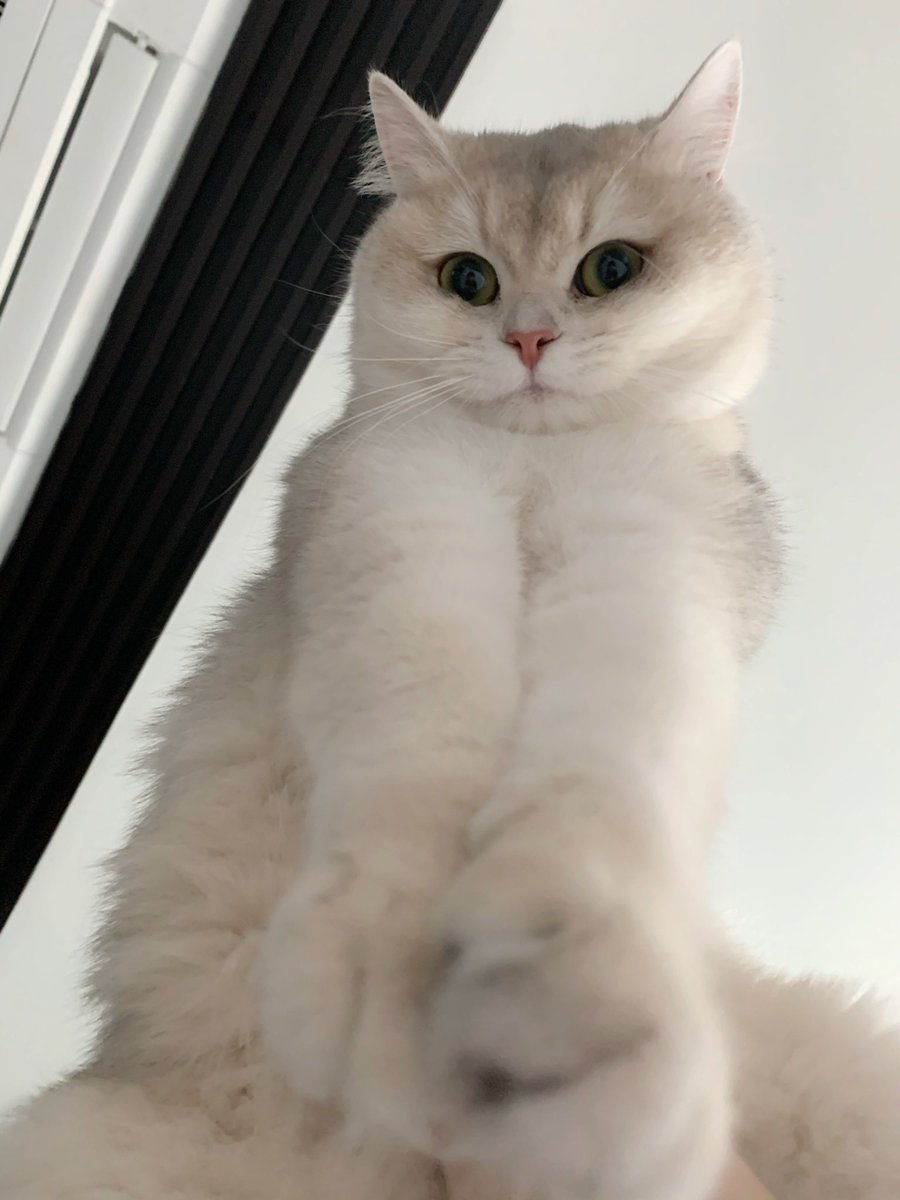 นังตัวดี