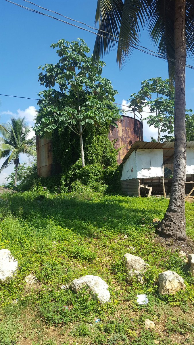 progress1962's tweet image. Charlemont Farm Scheme,  linstead