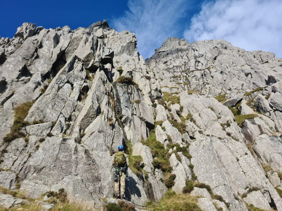 Commando Training tweet media