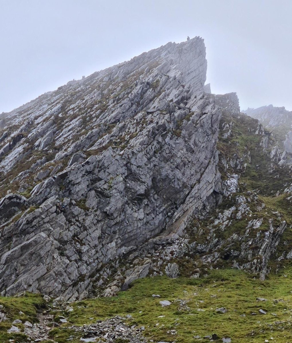 Commando Training tweet media