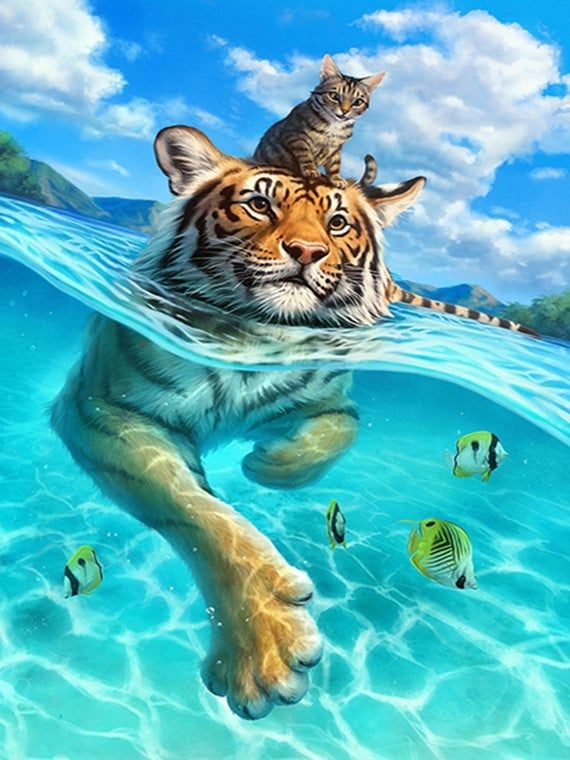 Pretty picture