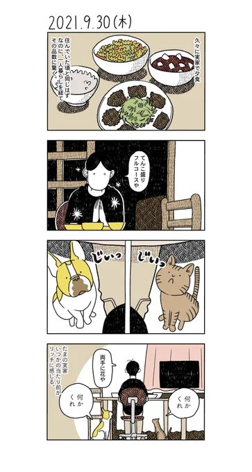 #日記漫画 33日目 