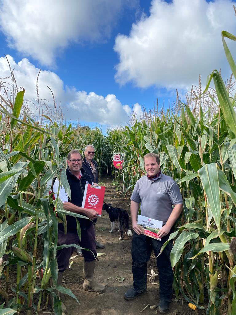 TBA spent yesterday morning with Rick Swait from Limagrain, looking at LG’s latest #maize varieties at their trial site in wincanton 🌽 ☀️<a href="/LGSeedsUK/">LGSeedsUK</a>